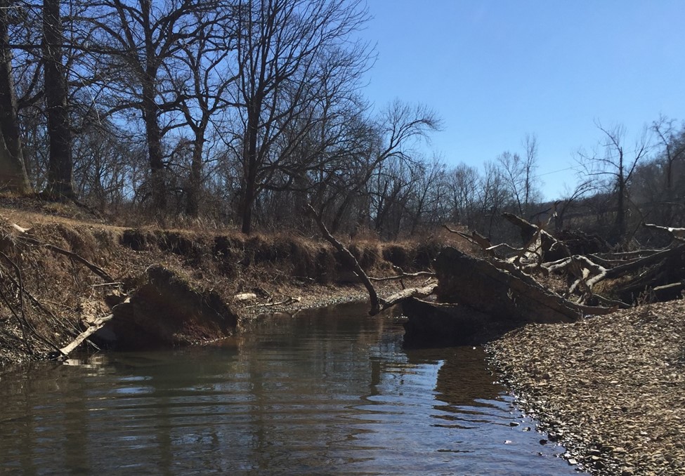 Little Sugar Creek NWA @ Razorback Greenway Trail - Bella Vista