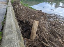 Debris in Bella Vista Park